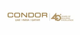 Condor Developers