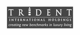 Trident International Holdings