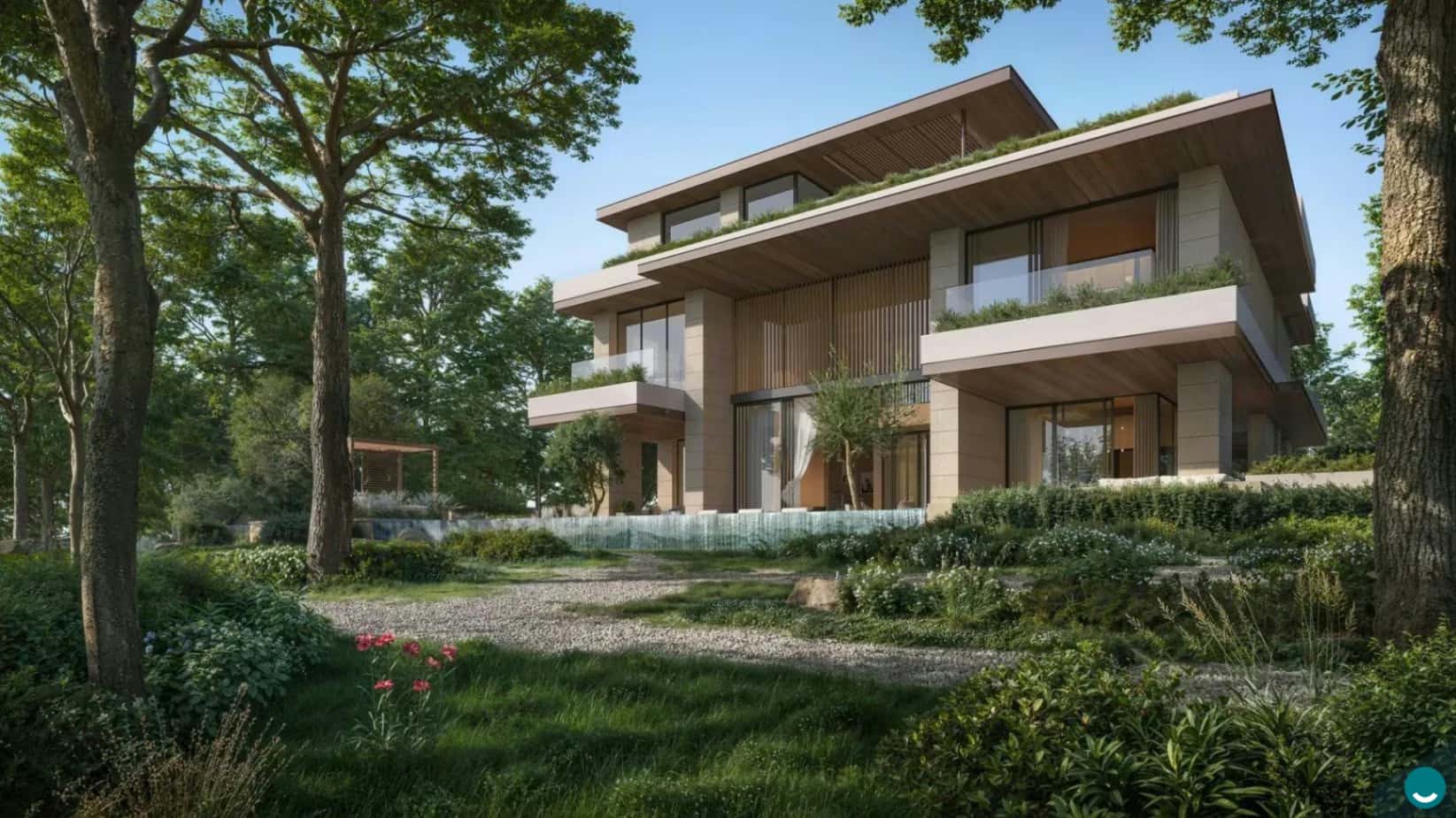 Cassia 5
