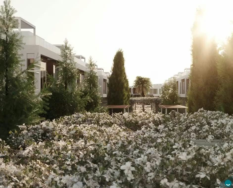 Jumeirah Luxury 3